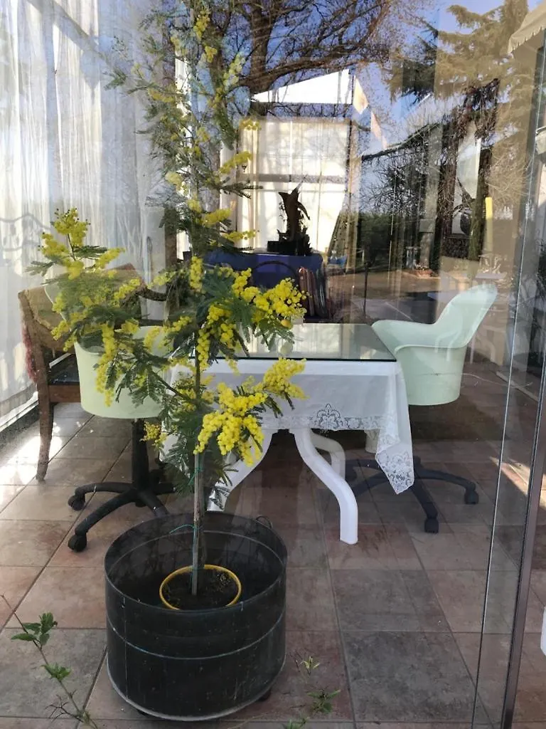 Bed & Breakfast Orizzonte Caorle